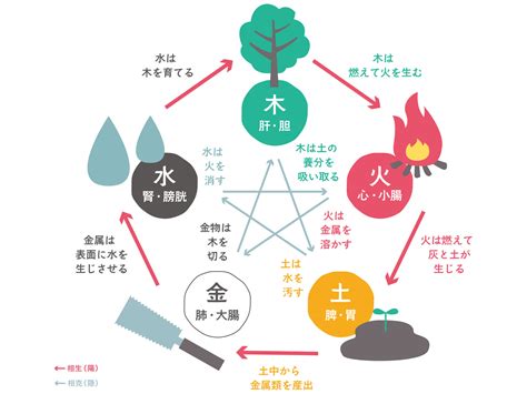 金木水火土精油|五行説＋五行精油分類表の解説。自分の不調の根本を。